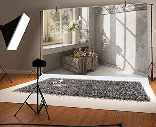 Leyiyi Fotohintergrund Vinyl – 10x8ft (ca. 3x2,5m), Lichtabsorbierend, Für Studio & Home