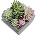 MyGift Assorted Colorful Artificial Succulents in Grey Cement Pot, Fake Plants for Bedroom Aesthetic