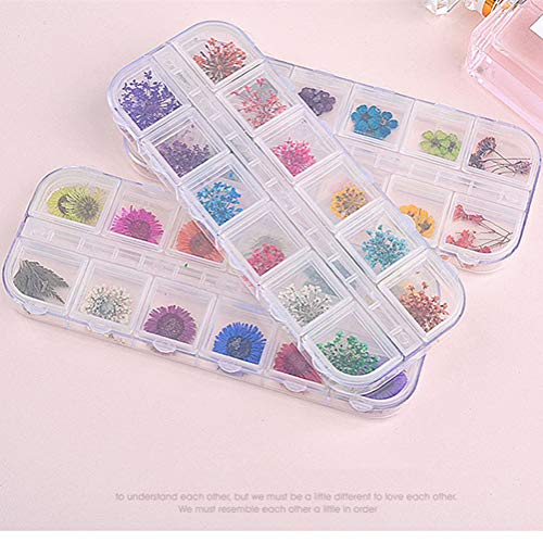 editTime 36 Colors Nail Dried Flowers 3D Nail Art Sticker, Flower Beauty Nail Stickers for Manicure, Natural Real Dry Flower Kit with a Curved Tweezers and a Nail Brush(4)