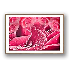 Framed for Living Room Bedroom Rose Flowers for
