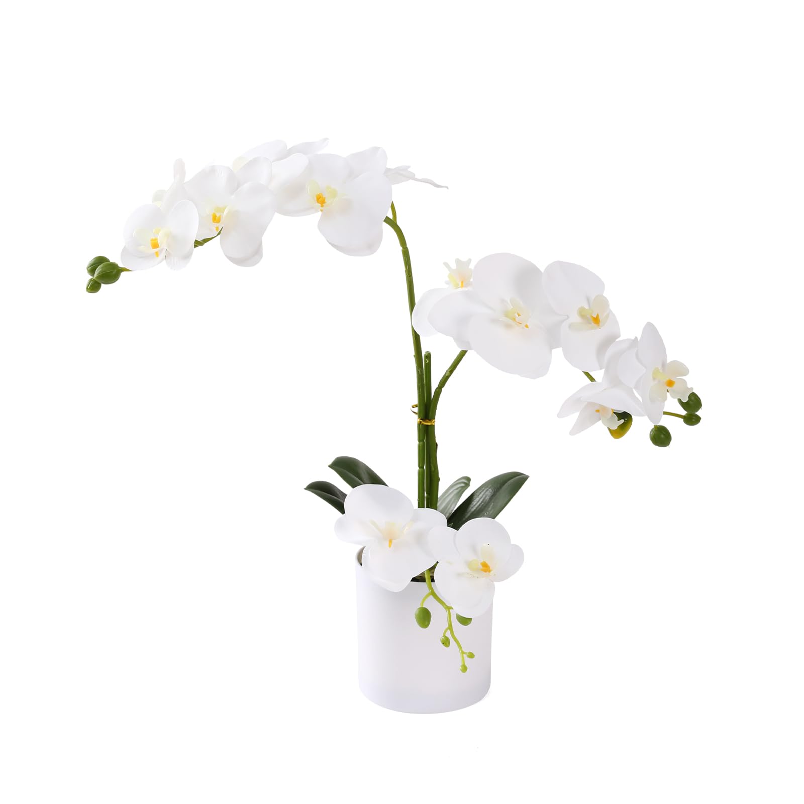 Photo 1 of ucky Fake Orchid Butterfly Orchid Bonsai 15 Inch White Artificial Flowers Realistic Plastic Flower Fake Flowers for Home Table and Cabinet Decoration Party and Wedding Decor Flowers Artificial Orchid