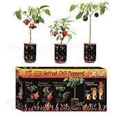 NSL Magic Plants Trio 3 Peppers Set