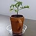 YOUniversal Products Plant Saucers (Pack of 10) - 6” Clear Durable Plant Saucer for Indoor & All-Weather Outdoor Use - Catch Dirt & Water from Plant Pots to Stop Messes & Stains in Your Home & Garden