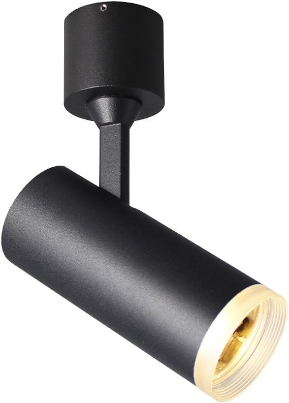 Aisilan Adjustable COB LED Surface Mounted Spotlight 7W 3000K Black Warm White Ceiling Spot Light Accent Lamp for Hallway Gallery Corridor and Living Room