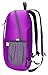 Venture Pal 25L Travel Backpack - Durable Packable Lightweight Small Backpack Women Men (Purple)