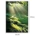 LB 3x5ft Nature Scenery Poly Fabric Photography Background Customized Photography Backdrop Studio Prop M-36
