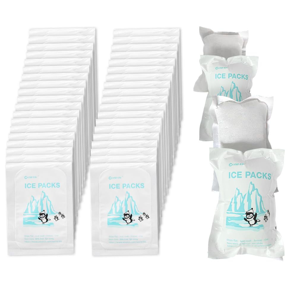 20 Packs Ice Pack Sheets for Shipping Frozen Food, Dry Ice Packs for Coolers Cool Box Bags, Small Freezer Blocks Mailing Cold Packs for Shipping Perishables Chocolate Camping Picnic (8cm X 11cm)