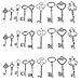 AlphaAcc Skeleton Key Charm Set in Antique Silver 9 Different Styles - Vintage Style Key Charms (45 Charms) (Silver)