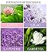 Scented Candles Sets - 4 Fragrance (Lavender, Lilac, Gardenia and Lotus),  Natural Soy Wax Portable Travel Tin Candle - Christmas Gift Set of 4
