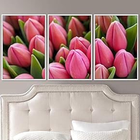 signwin 3 Piece Framed Canvas Wall Art Pink...