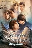 Forever Promised (Keeping Promise Rock Book 4)