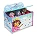 Delta Children Deluxe Toy Box, Nick Jr. Dora the Explorer