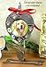 Dog Memorial Ornament - Dated 2025 - Hanging Picture Ornament - Paw Prints on My Heart Poem Message - Gift-Storage Bag Included - 4.5