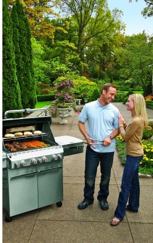 review Weber 7270001 Summit S-470 4-Burner Natural Gas Grill, Stainless Steel