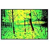 Summer Woods Flocked Blacklight Poster Art Print