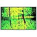 Summer Woods Flocked Blacklight Poster Art Print