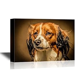 Dogs Breeds Canvas Wall Art - A Purebred Kooikerhondje Dog - Gallery Wrap Modern Home Art | Ready to Hang - 12x18 inches