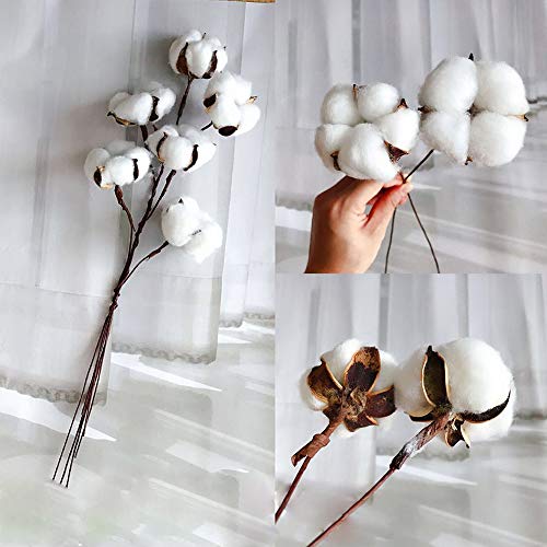 3 CEWOR+Natural+Farmhouse+Furniture+Decoration