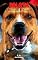 Livro Bolota: O Adestrador de Humanos (Cachorros Livro, Livros Sobre Cachorro, Livros de Cachorro, Livros de Comédia)
