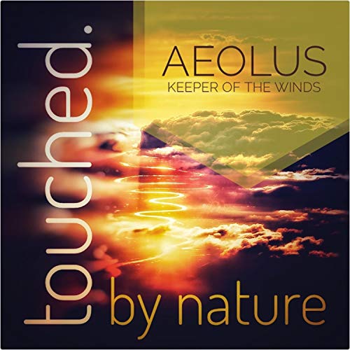 Aeolus Trainers4me - 