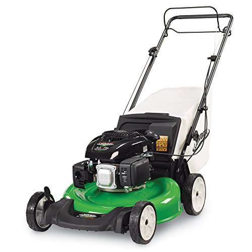 LawnBoy 17732 21" Rear Wheel Drive Self Propelled Lawn Mower Review