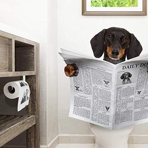 10ピース 面白い大統領トイレットペーパー ドナルド いたずらジョークトランプトイレットペーパーロール 陽気な政治周辺ギフト 指 10 B085dgqklr 1 250円 大人気 New Arrival 最安値挑戦 年中無休 高品質 通販