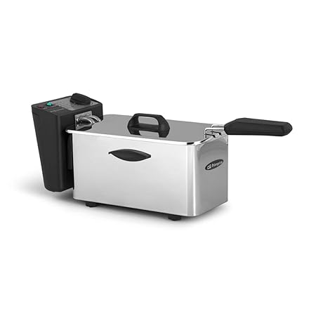 Orbegozo FDR 25-Freidora Profesional, 2000 W, 2,5 l, 2.5 kg, Acero Inoxidable