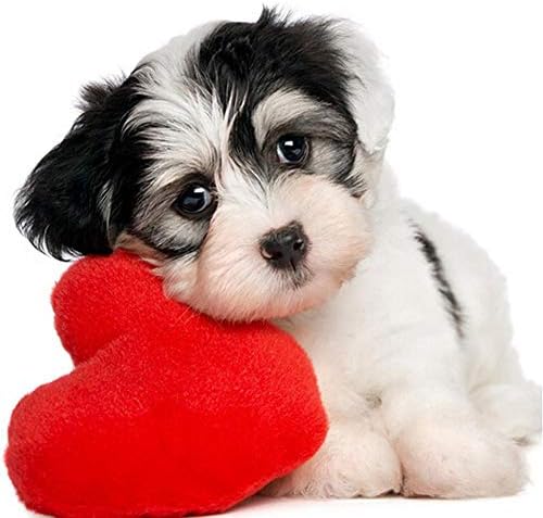 1989candy 5D DIY Diamond Painting Cute Love Heart Dog Cross Stitch Embroidery Mosaic
