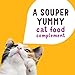 Purina Friskies Grain Free Lickable Cat Food Toppers Lil’ Soups With Shrimp in a Velvety Chicken Broth - (Pack of 8) 1.2 oz. Cups