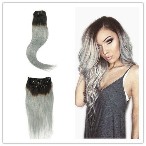Amazon Com Alizee 22 Clip In Human Hair Extensions Pack 1b Grey
