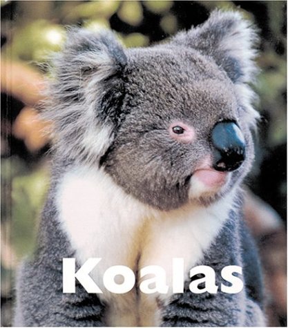 Koalas Naturebooks Lee Sandra 9781567663969 Amazon Com Books