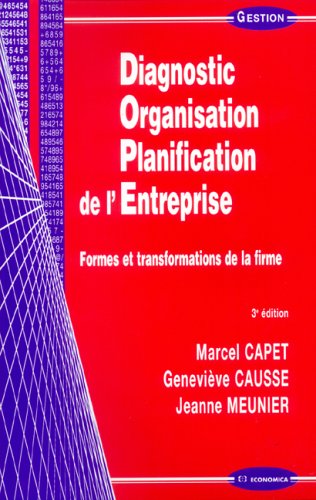 Diagnostic, organisation, planification de l'entreprise
