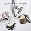 Garlic Press, Garlic Crusher Press to Press Clove and Smash Ginger Handheld Zinc Alloy Rust-Proof Tool for Kitchen