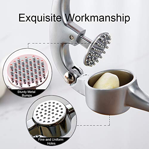 Garlic Crusher, Garlic Mincer to Press Clove and Smash Ginger Handheld Zinc Alloy Rust-proof Tool for Kitchen