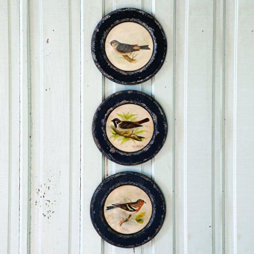 Round Vintage Bird Prints