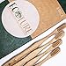Premium Natural Bamboo Toothbrush - Eco Friendly and Biodegradable Toothbrushes w/Soft Bamboo Fiber and BPA Free Nylon Bristles - Organic Dental Care For Men and Women - 4 Pack by Ecoture