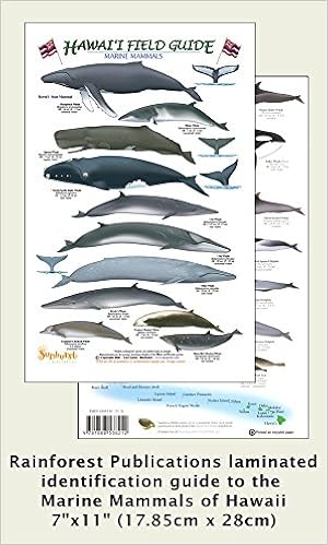 Rainforest Publications