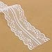 KINGSO 10 Yards White Embroidered Net Lace Trim Ribbon DIY Craft 3.5cm