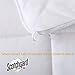 Decroom White Comforter,Down Alternative Quilted Duvet Insert,Moisture-Wicking Treament,Light Weight and Soft for All Season Twin Size