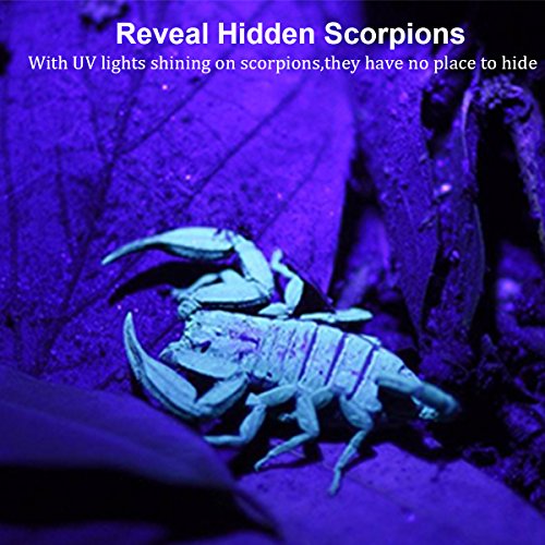 Pocketman 21 LED UV Flashlight Black Light, 395nm UV-Ultraviolet Blacklights Handheld Torch Light for Dogs, Pet Stains, Bed Bugs, Scorpions