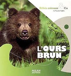 L' ours brun