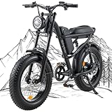 Riding'times 1500W Winter Moped Style Ebike, 20