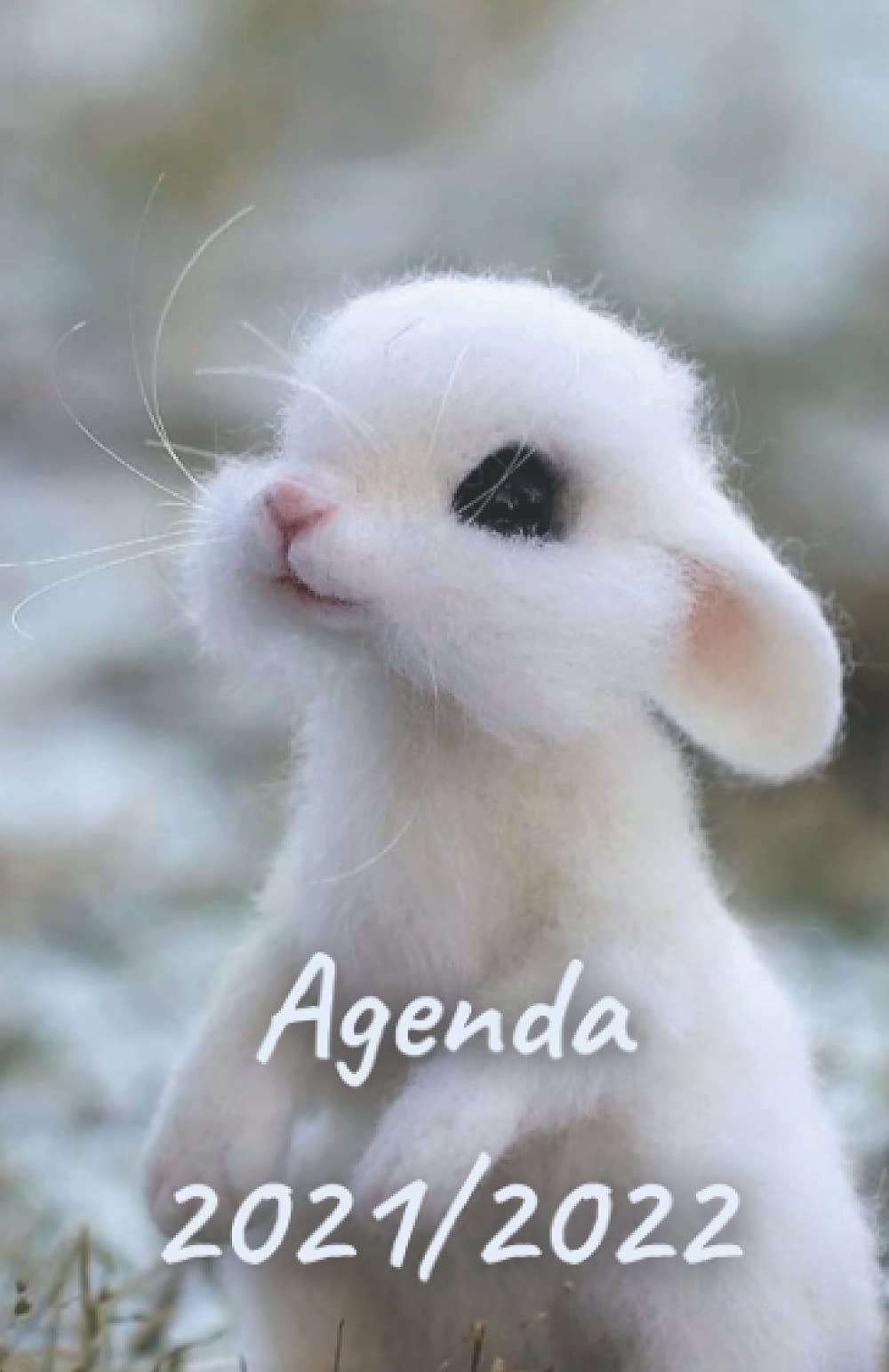 AGENDA SCOLAIRE 2021 2022: Agenda journalier | Emploi du temps | Calendrier | Planificateur