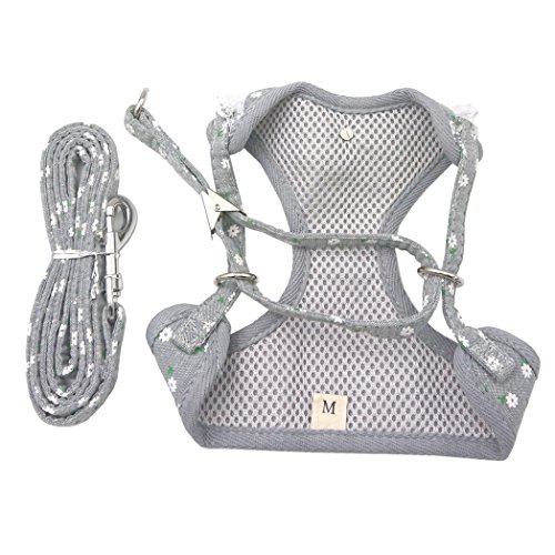 M2cbridge Small Dog Harness Leash Leads Set Step-in Soft Mesh Vest Cat Collar (M, Gray)
