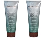 Mineral Fusion Anti-Dandruff Shampoo (Pack of 2) with Certified Organic Aloe Vera Juice, Malachite Extract, Smithsonite Extract, Tea Tree Oil, Oregano Extract and Montmorillonite Clay, 8.5 fl. oz.