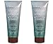 Mineral Fusion Anti-Dandruff Shampoo (Pack of 2) with Certified Organic Aloe Vera Juice, Malachite Extract, Smithsonite Extract, Tea Tree Oil, Oregano Extract and Montmorillonite Clay, 8.5 fl. oz.