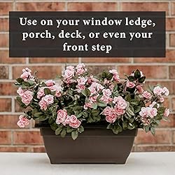 BackyardBounty Rectangle Planter Box, 16 Inch