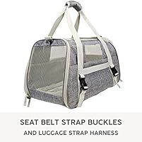 jet sitter pet carrier