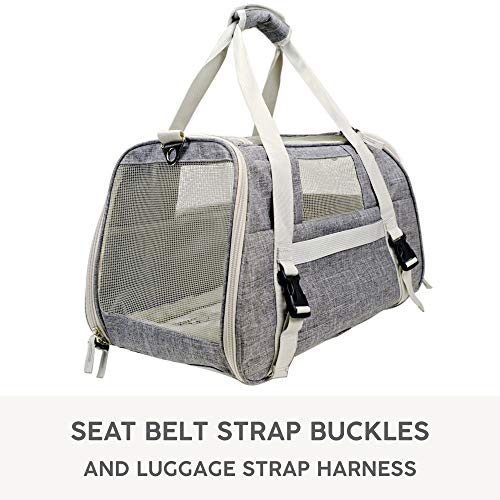 4 Jet+Sitter+Airline+Approved+Carrier