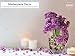 Royal Imports Flower Vase Glass Square Tapered Decorative Tabletop Centerpiece for Home Decor, Wedding Bouquet, Floral Gift Arrangement - Tall Square Tapered Shape, 10